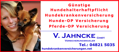 Hundekrankheiten